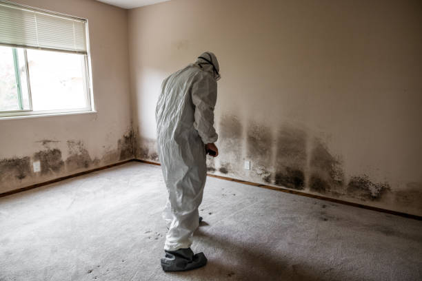 Best Mold Prevention Services  in Kermit, TX